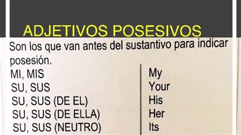 Learn The Possessive Adjectives In Spanishaprende Los Adjetivos