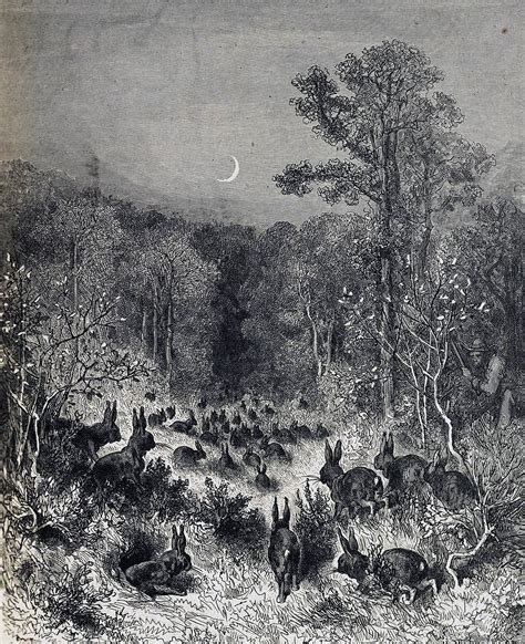 Gustave Doré Rabbits Head Into The Forest From Fables Of La Fontaine