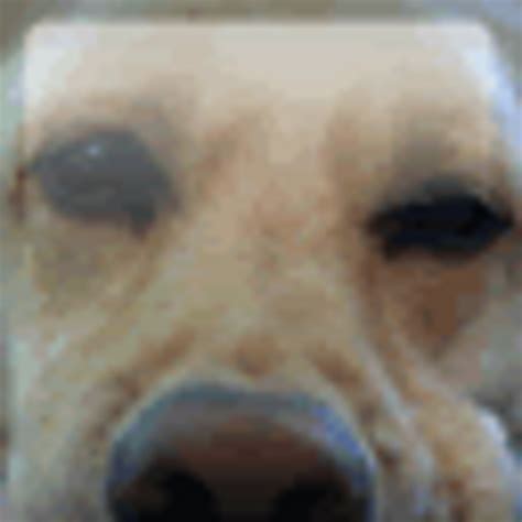 Nokia lumia 900 registration gamer pic pack. Anyone have a HD ver of the dog gamerpic from xbox 360 ...