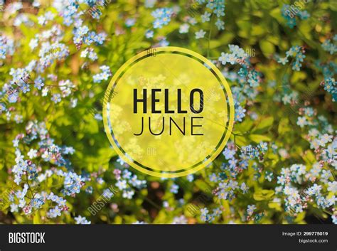 Banner Hello June Image And Photo Free Trial Bigstock