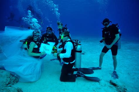 Dive In To Your Scuba Wedding In South Florida Partyspace South Florida