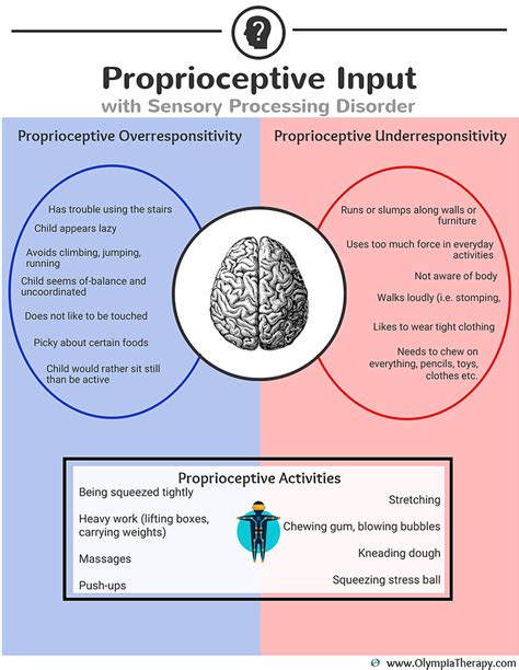 Proprioceptive Input With Images Sensory Disorder Sensory