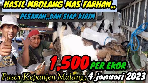 Update Harga Kambing Hari Ini Rabo Januari Di Pasar Hewan