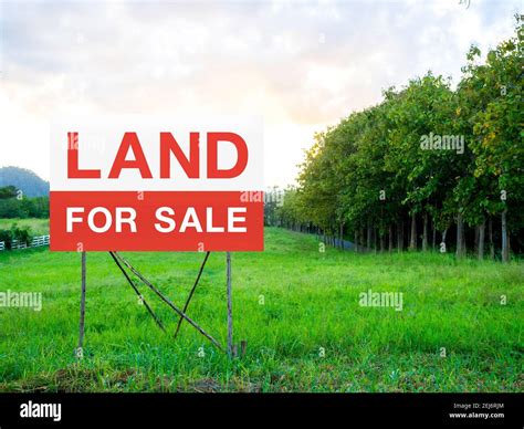 Land For Sale Sign On Empty Land Green Meadow Near The Tree And