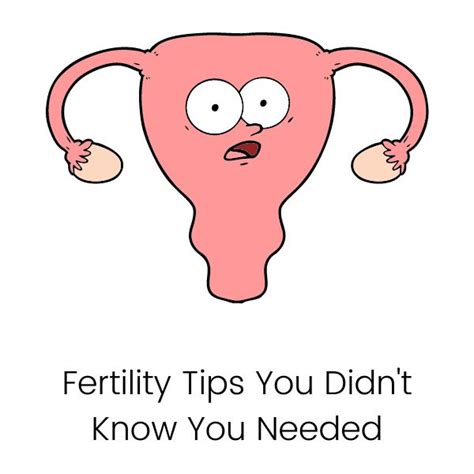 Understanding Your Cycle And Calculating Your Fertile Window Fertile