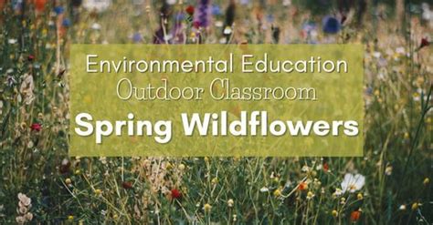 Environmental Education Outdoor Classroom Spring Wildflowers Retzer