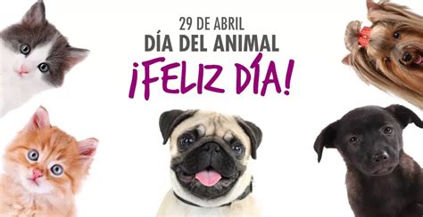 29 De Abril Es El Día Del Animal En La Argentina 25 Digital