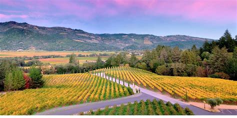 Visit California Official Travel Tourism Website Napa Valley