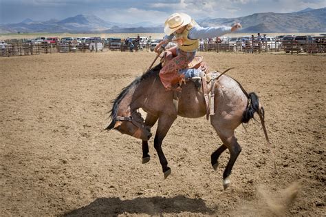 The Basics Of Training A Horse