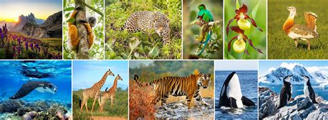 35 Of The Worlds Best Wildlife Holidays For 202324 Naturetrek