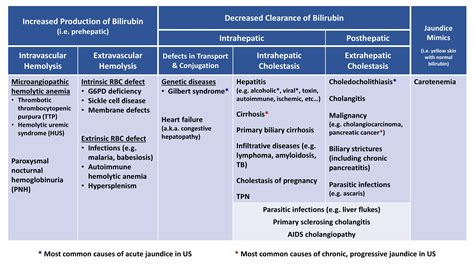 An Approach To Jaundice Differential Diagnosis Grepmed