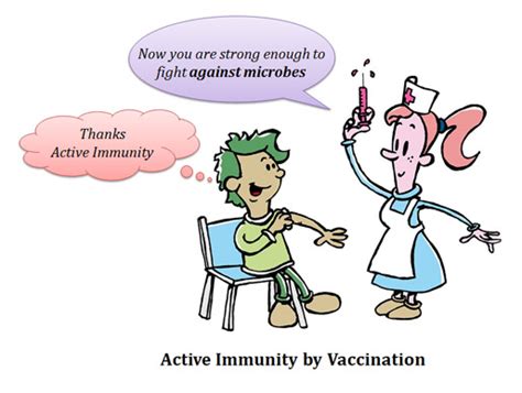 The classic example is a snake bite serum or plasma that has the antivenom. Compare Active Immunity vs Passive Immunity | easybiologyclass