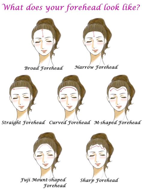How Forehead Shapes Can Reveal Your Personality Alldaychic