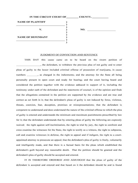 Post Conviction Motions State Of Michigan In The District Form Fill Out And Sign Printable Pdf