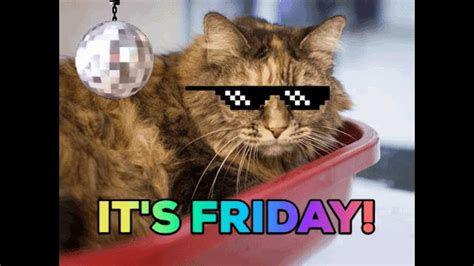 Happy Friday Cat Meme Idlememe