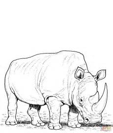 Rhinos Coloring Pages - Coloring Home