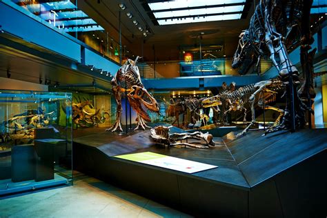 Best Permanent Exhibits To See At The Natural History Museum Cbs Los