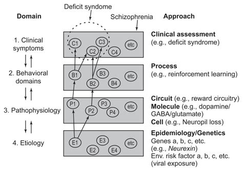 Figure 5 2 Modeling Schizophrenia At The Level Of Clinical Symptoms C Behavior B