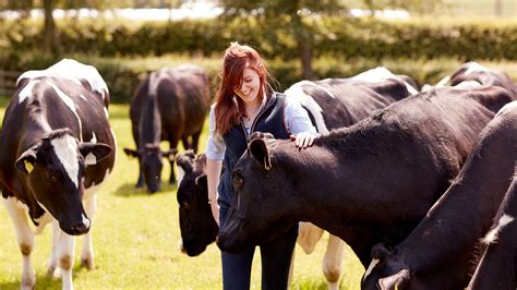 Frontiers in veterinary science vols. BSc (Hons) Agriculture with Animal Science Degree | Harper ...