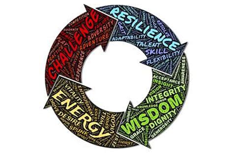 Building Resilience As You Come Full Circle The Cycle Of Transition