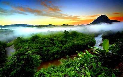 Rainforest Tropical Forest Indonesia Sunset Sky Desktop