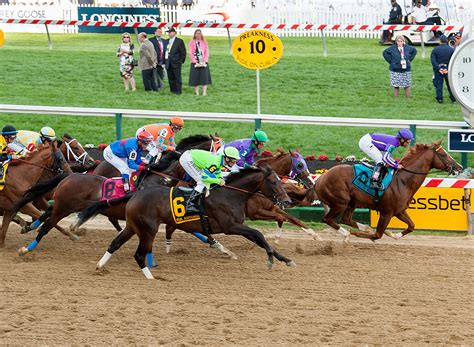 types  horse racing betting  main varieties explained