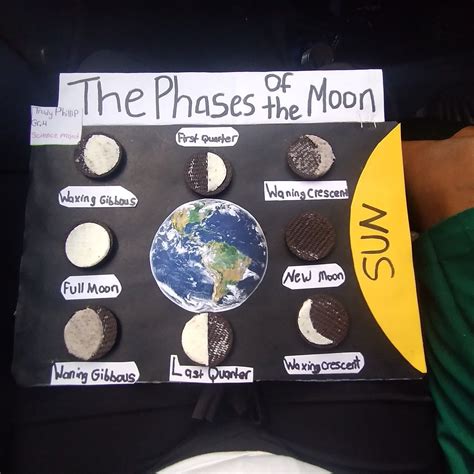 Oreo Cookiee Moon Phases Project In 2022 School Science Projects