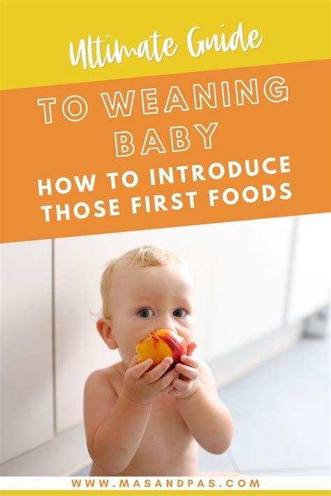 Ultimate Guide To Weaning Baby How To Introduce Those First Foods