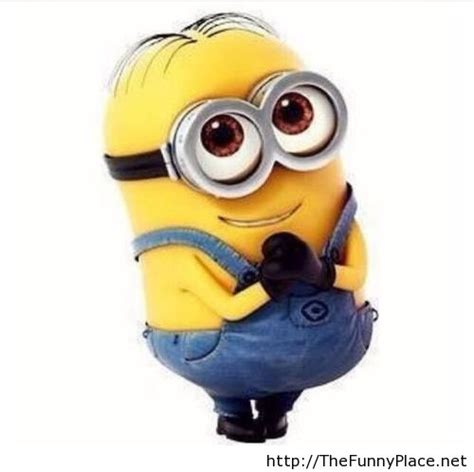 48 Funny Minion Wallpapers
