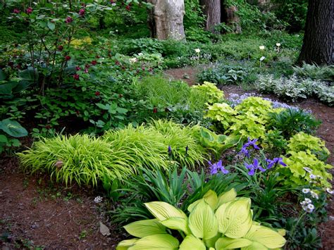 A Woodland Garden Of Flowering Shrubs Shade Garden Design Shade