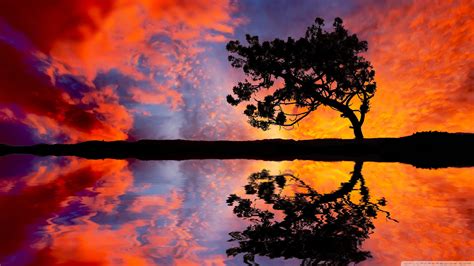 Wallpaper Sunlight Trees Landscape Sunset Nature Reflection