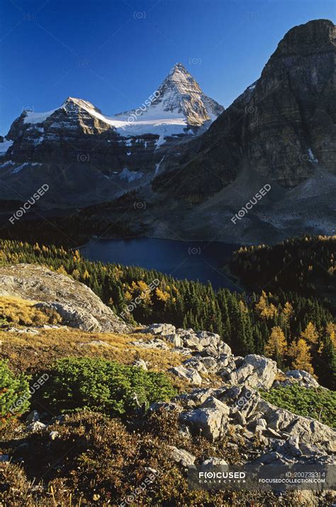 Mount Assiniboine Im Tal Des Mount Assiniboine Provinzparks Britisch