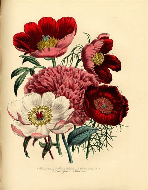 By leslie on march 23, 2015 | 0 comments. 36 best Public Domain Collection images on Pinterest ...