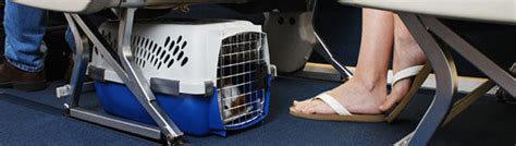 Your pet must be small enough to stay in its carrier under the seat in front of you your pet and carrier combined must weigh no more than 22lb (10kg) Petition · Allow Pets to Travel in Cabin when travelling ...