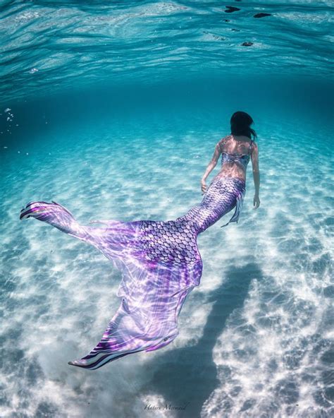1 Mackerel Fish Mermaid Tail 2 Purple Mermaid Lucia Official