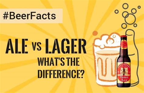 Ale Facts What Is The Difference Between Ale And Lager Forever