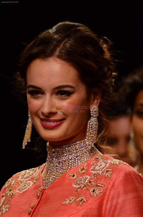 Her father is an indian and mother is a german. Evelyn Sharma walk the ramp for IIJW 2015 Day 2 on 4th Aug 2015 / Evelyn Sharma - Bollywood Photos