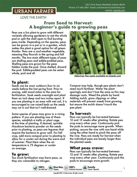 How To Grow Peas Growing Peas Vegetable Garden Tips Growing Vegetables