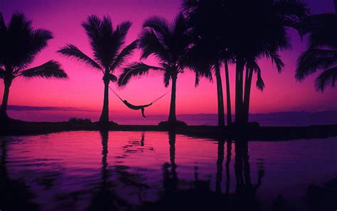 Beach Purple Sunset Wallpaper 2560x1600 29186