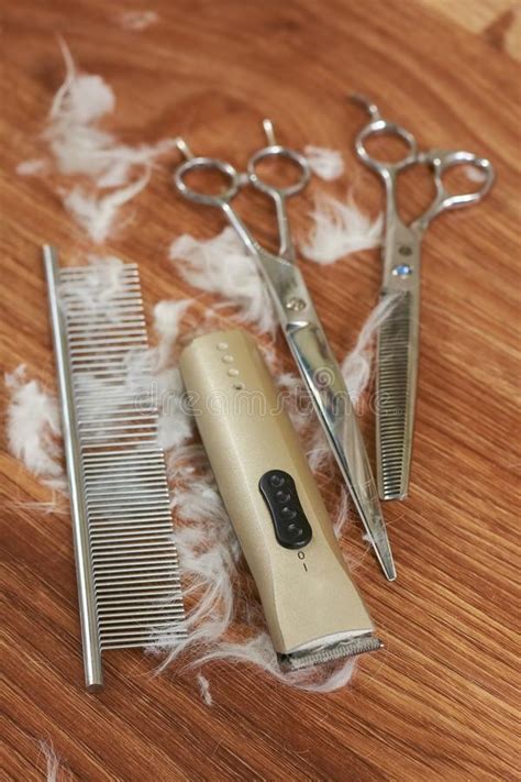 Comb Hair Clipper And Scissors Stock Photo Image Of Professional