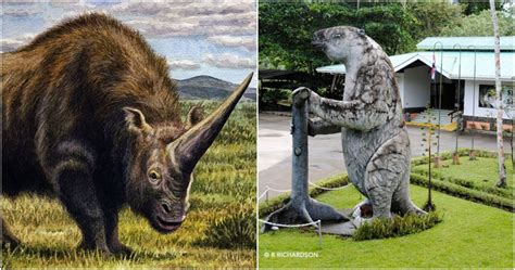 10 Strange Extinct Animals That People Think Are Made Up