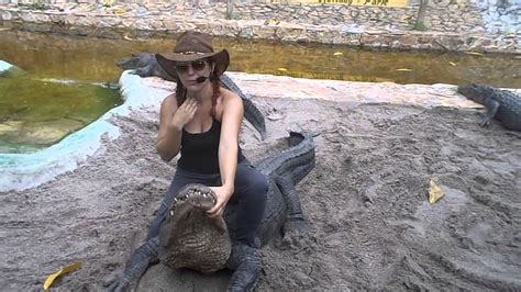 Alligator Wrestling Must Watch By Young Girl At Everglades Alligator