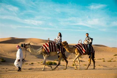 Abu Dhabi Desert Safari With Bbq Camel Ride And Sandboarding Getyourguide