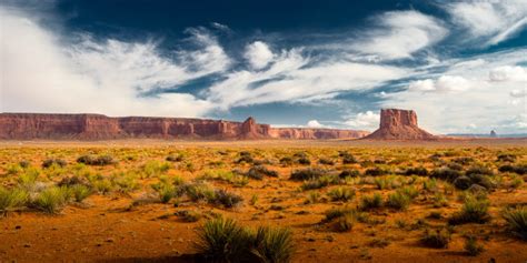 10 Características del Desierto