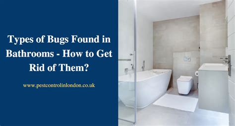 Types Of Bugs Found In Bathrooms How To Get Rid Of Them Pest