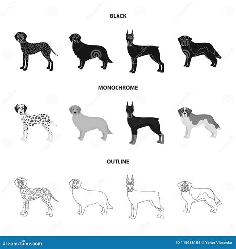 Dog Breeds Blackmonochromeoutline Icons In Set Collection For Design