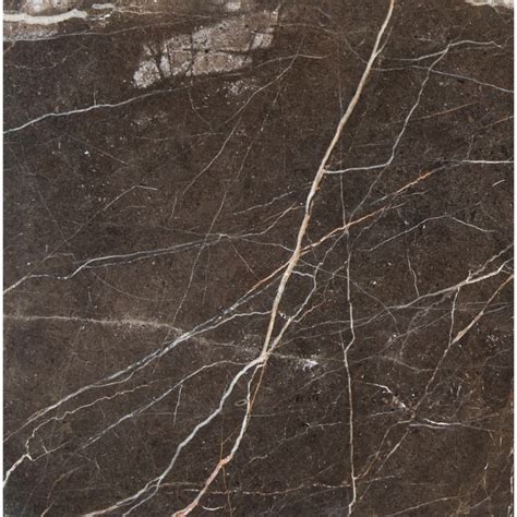 Frontier Brown 12x12 Polished Marble Floor And Wall Tile