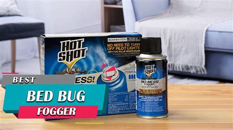 Top 5 Best Bed Bug Foggers For Mattresscouchhotelsluggageclothes
