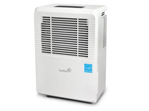 The Best Dehumidifiers You Can Buy Business Insider
