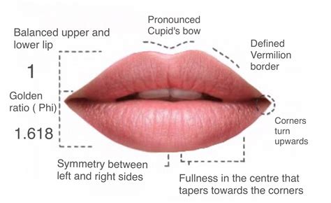 Juju Lips Definition Lipstutorial Org